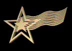 Star Fashion Group Logo